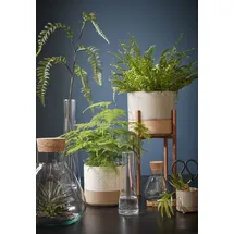 Mica decorations Mica Vorratstopf Emily transparent, 24,5 x 22,5 m