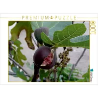 Calvendo Früchte-Allerlei Puzzle