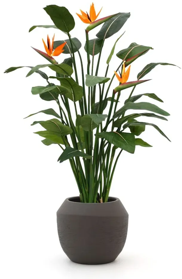 Designplants/Luca Lifestyle Strelitzia Kunstpflanze (h:145 cm) mit Ruvido Combi Blumentopf