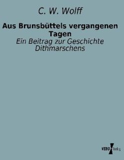 Aus Brunsbüttels Vergangenen Tagen - C. W. Wolff  Kartoniert (TB)