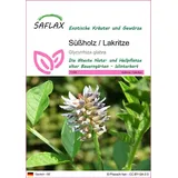SAFLAX Süßholz - Lakritzesamen