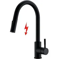 Schwarzer Niederdruck Küchenarmatur mit Ausziehbarer Brause