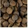 CARNILOVE Adult Duck & Pheasant 1,5 kg