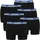 Head Boxershorts Basic 6er Pack Schwarz / Blau L
