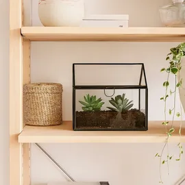 Relaxdays Pflanzenterrarium Glas & Zinn schwarz