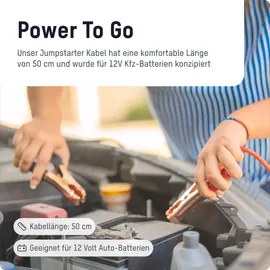 Ansmann Starthilfeadapter für Powerstations