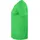 Clique Basic V-Neck T-Shirt apfelgrün S