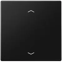 Jung Wandsender ENO LS 990 P SWM