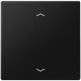 Jung Wandsender ENO LS 990 P SWM