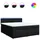 vidaXL Boxspringbett 180 x 200 cm Schwarz