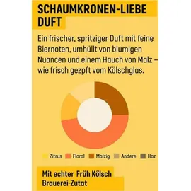 Guhl Bier-Shampoo Intensiv Kräftigung 250 ml