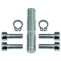 Riegler Schwenkgabelbefestigung, ISO 15552, ISO 21287, ̃50