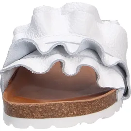 Verbenas Rocio Roda blanco 41