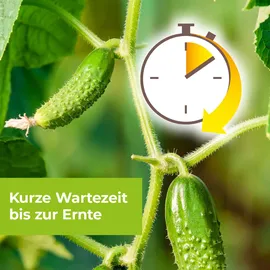 Protect Garden Alitis Spezial-Pilzfrei Konzentrat 40 g