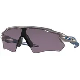 OAKLEY Radar EV Path Odyssey Collection holographic/prizm grey (OO9208-C538)