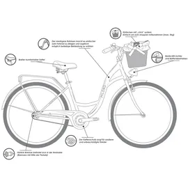 Milord Citybike 26 Zoll RH 48 cm Damen braun