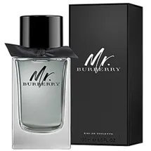 Burberry Mr. Burberry Eau de Toilette 150 ml