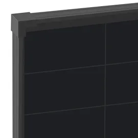 Ective BSP 100C monokristallin 100 W