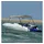 vidaXL Sonnenschutz 3-Bow Bimini-Top 184 x 170 x 133 cm Grau
