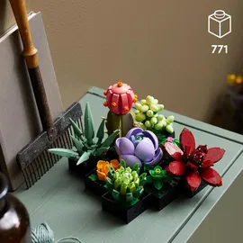 LEGO Botanicals Creator Expert Sukkulenten 10309