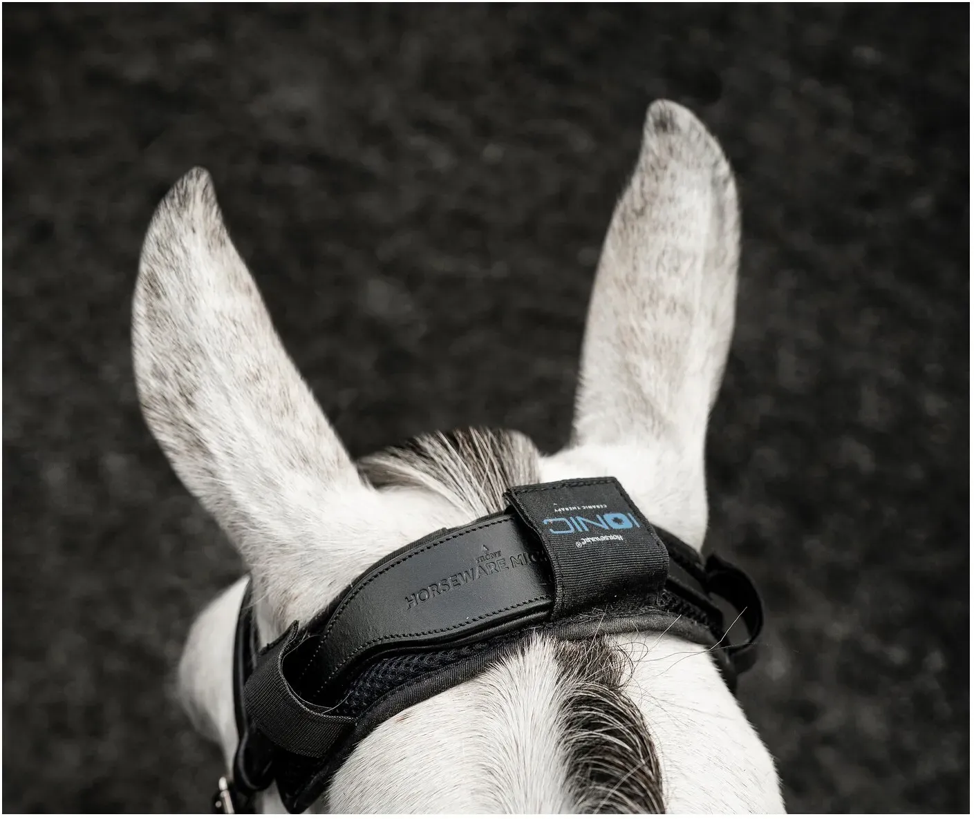 HORSEWARE Ionic Poll Cover black Einheitsgröße