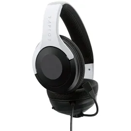 Raptor Gaming H300