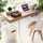 KIS Aufbewahrungsbox K Latch L 28 x 39 x 59 cm 1-tlg. transparent-orange