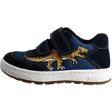 Lurchi Draco