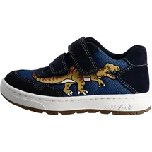 Lurchi Draco
