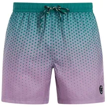 Protest Badeshorts PRTNorthaw Grün S