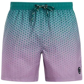 Protest Badeshorts PRTNorthaw Grün S