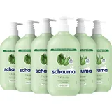 Schauma Schwarzkopf Shampoo 7 Kräuter (6x 750 ml), Haarshampoo verleiht der Haarstruktur eine leichte Frische, Frische-Shampoo für normales bis schnell fettendes Haar