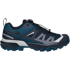 Salomon X Ultra 360 GTX Herren Carbon / India Ink / Deep Dive 46 2/3
