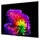 LG OLED55G68LW 55" 4K 3840 x 2160 OLED Smart TV