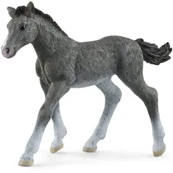 Schleich HORSE CLUB 13944, 5 Jahr(e), Grau