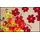 SALONLOEWE Fußmatte Lifestyle Maggio 50x75 cm Eingangs-Matte waschbar bunt Blumen Fussabtreter