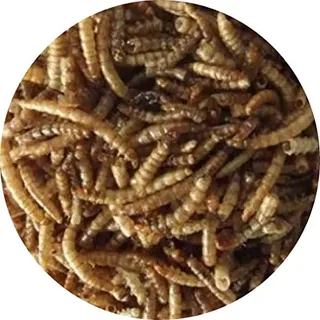 Mehlwürmer getrocknetes Reptilienfutter Fischfutter Teichfutter Schildkröten FD (3 l)