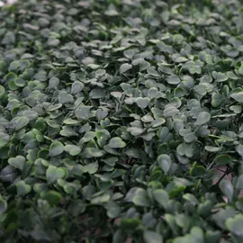 MCW Wandfliese Grün