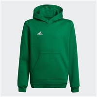 Adidas Entrada 22 Sweat Hoodie