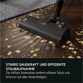 AEG Clean 5000 AB51C2DG grau