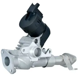 Hella 6NU 014 864-981 AGR-Ventil elektrisch, mit Dichtungen