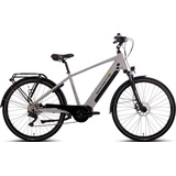 Saxonette E-Bike SAXONETTE "Premium Sport (Diamant)" E-Bikes Gr. 48 cm, 28 Zoll (71,12 cm), silberfarben E-Bikes Pedelec