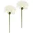 I.GE.A. Kunstblume I.GE.A. "Amaryllis 2er Set", weiß, B:16cm H:60cm L:12cm, Polyester, Kunstpflanzen, 60cm Blumen Zweig Dekozweig Weihnachtsdeko Weihnachtsblume Deko