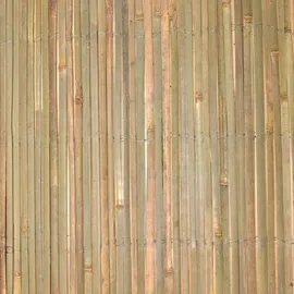 Sol Royal SolVision B89 Sichtschutz Bambus 600 x 180 cm