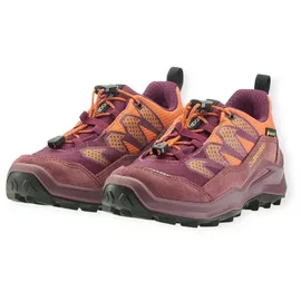 Lowa Maddox Pro GTX LO Kinder Altrosa/Ton 31