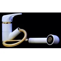 Wagner Einhebelmischer mit Brause Weiss Gold