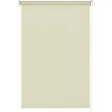 GARDINIA Seitenzug-Rollo Verdunklung 80 x 180 cm Beige