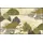 Wash+Dry Zen Flow 75 x 120 cm Mehrfarbig