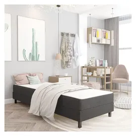 vidaXL Boxspringbett 100 x 200 cm Dunkelgrau