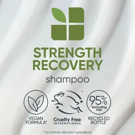 Matrix Strength Recovery Shampoo für geschädigtes Haar 250 ml